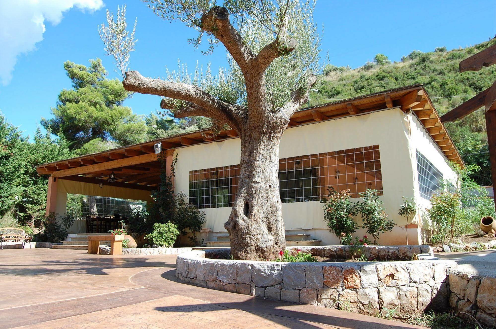 Family Resort Cala Di Luna Marina di Camerota Eksteriør billede